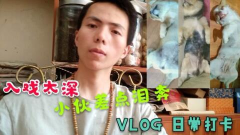 爆料潮汕赵公子视频,揭秘豪门背后的权势与争议